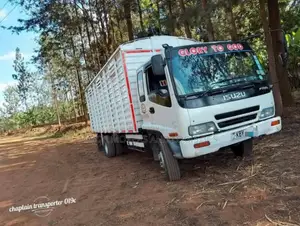 Fh /Lorries for Transportation and Logistics Are Ready