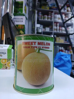 Sweet Melon Galia Type F1 Hybrid 250g