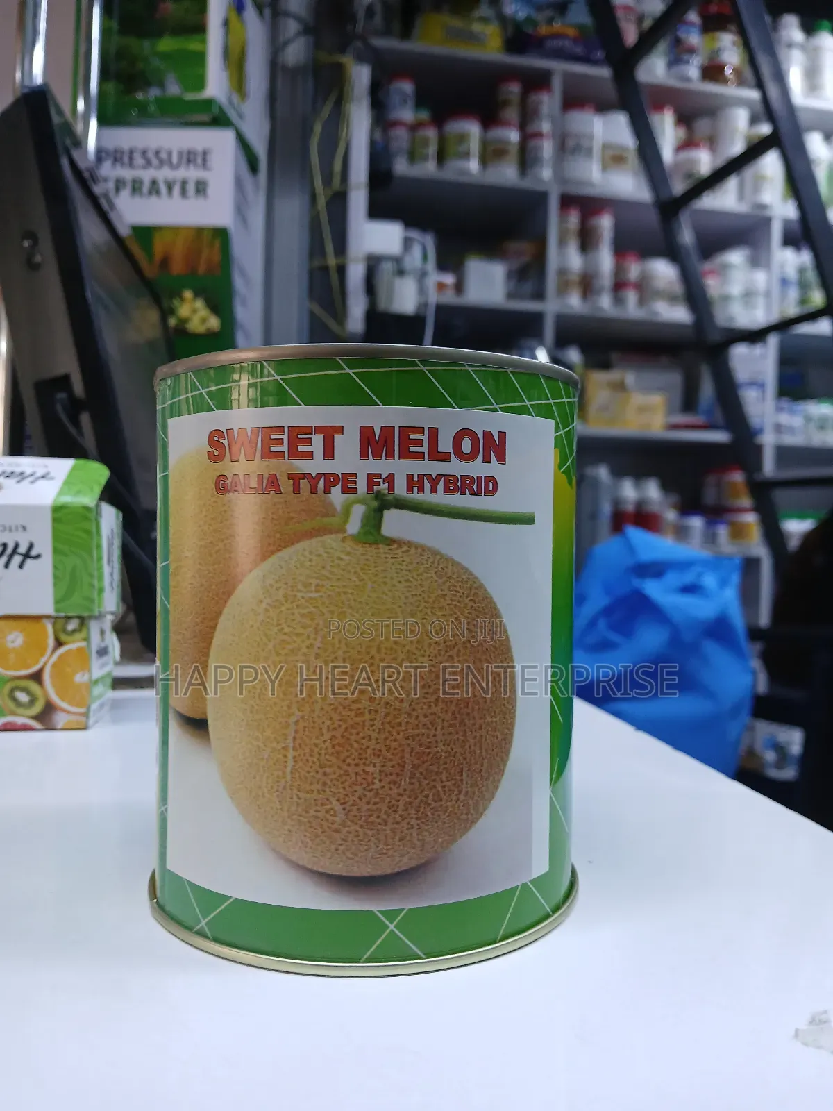 Sweet Melon Galia Type F1 Hybrid 250g