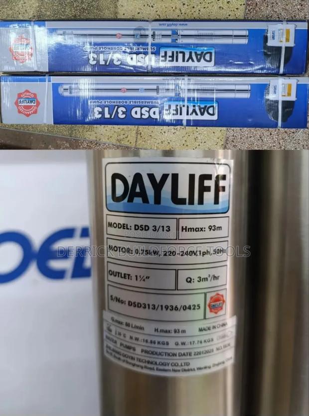 Dayliff 1hp Submersible Pump - main view