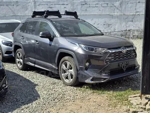 Toyota RAV4 Hybrid 2019 Gray