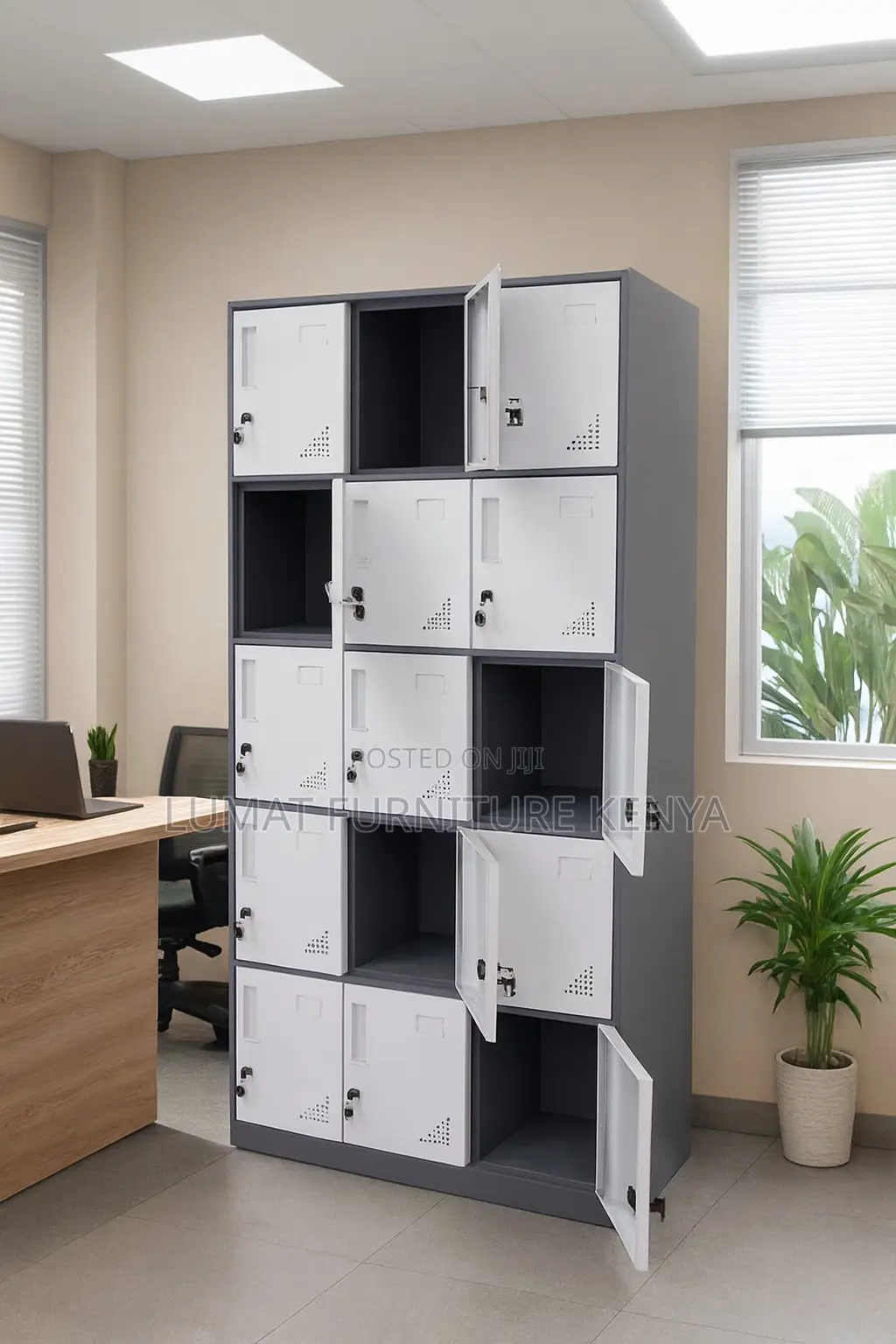 Gym/School Locker Cabinet