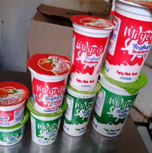 Yogurt for Sale - thumbnail 2