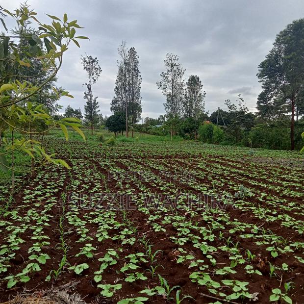 40x110ft Plots at Kenol Along Kagia Road in Muranga County