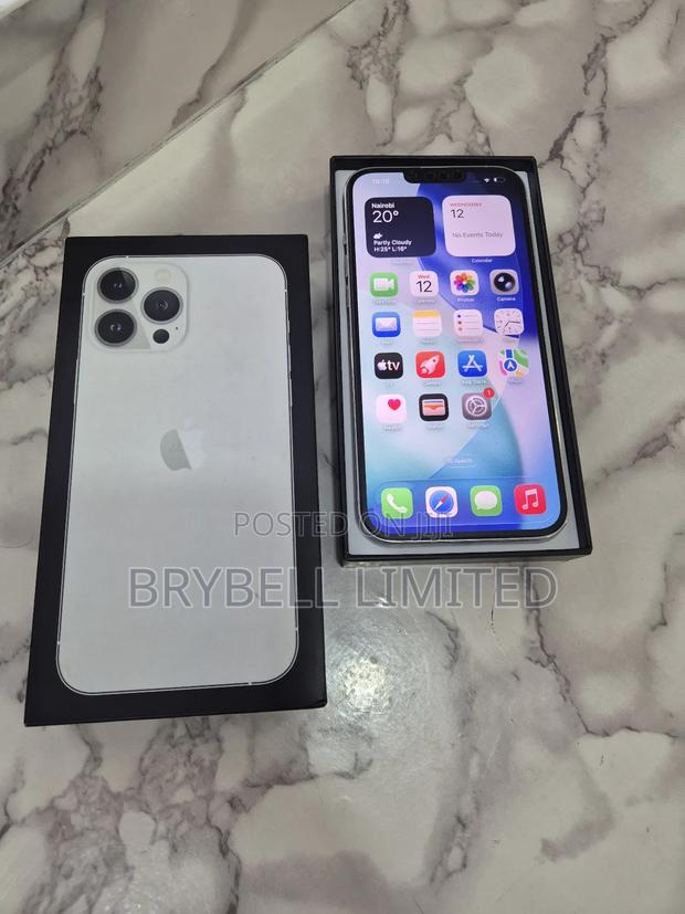 Apple iPhone 13 Pro Max 256 GB Silver - thumbnail 4