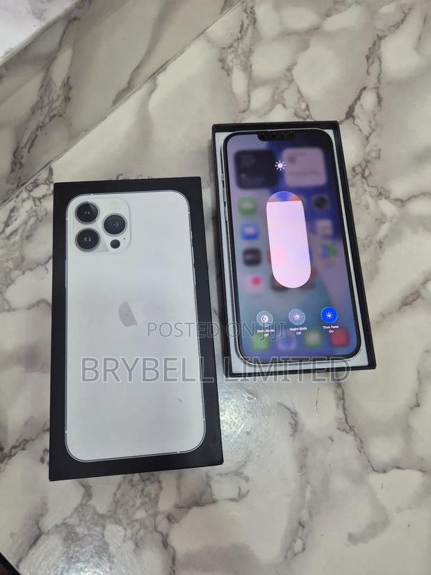 Apple iPhone 13 Pro Max 256 GB Silver - thumbnail 5