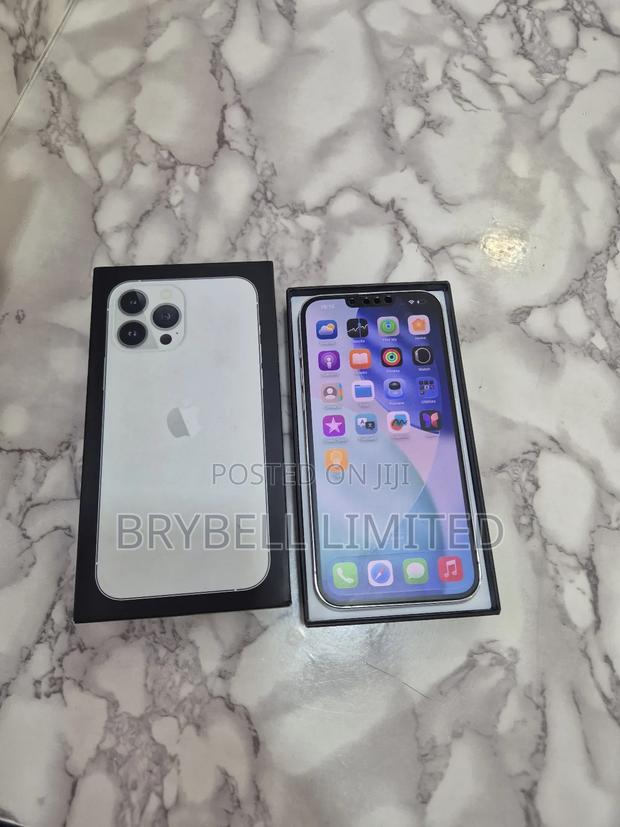 Apple iPhone 13 Pro Max 256 GB Silver - thumbnail 7