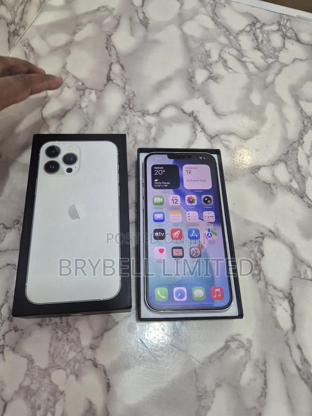 Apple iPhone 13 Pro Max 256 GB Silver - thumbnail 8