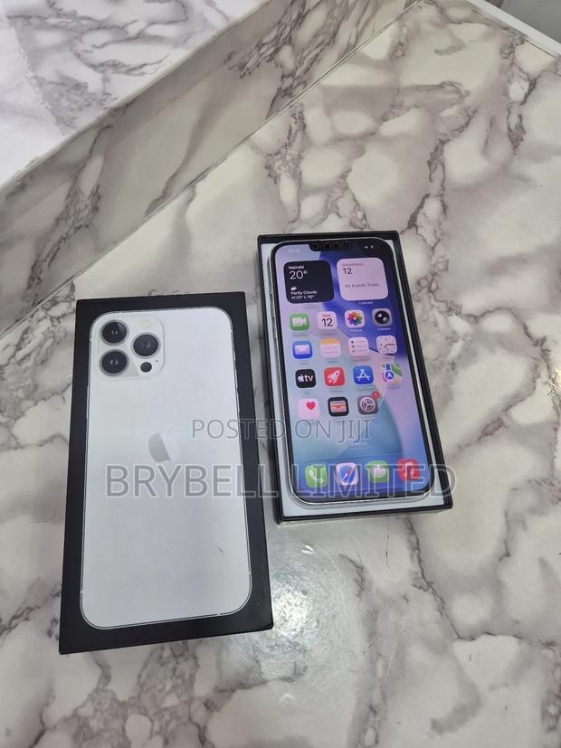Apple iPhone 13 Pro Max 256 GB Silver - thumbnail 13