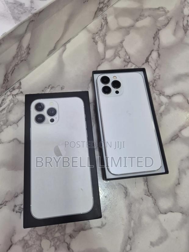 Apple iPhone 13 Pro Max 256 GB Silver - thumbnail 14