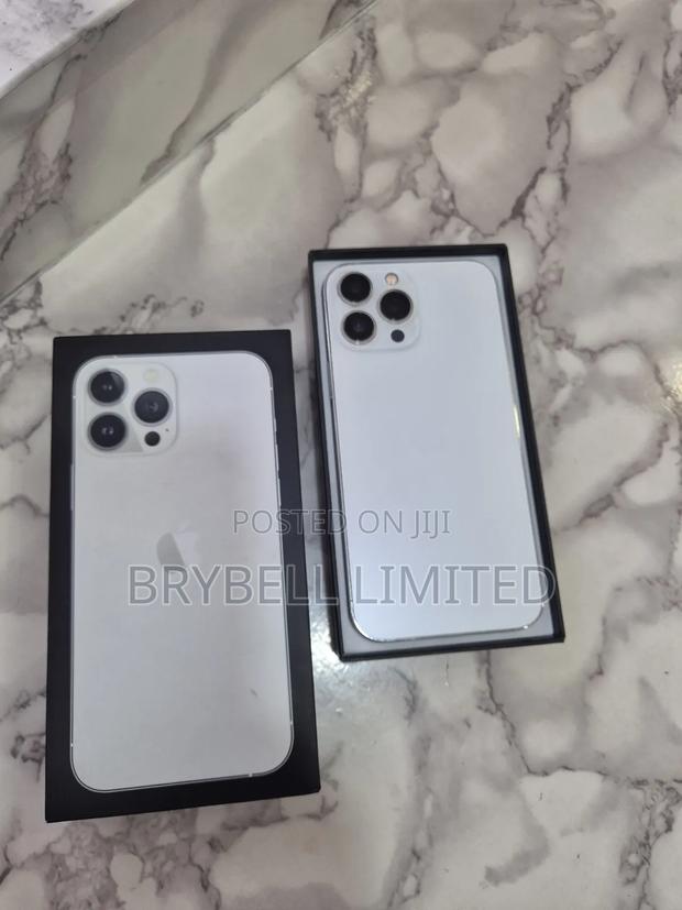 Apple iPhone 13 Pro Max 256 GB Silver - thumbnail 10