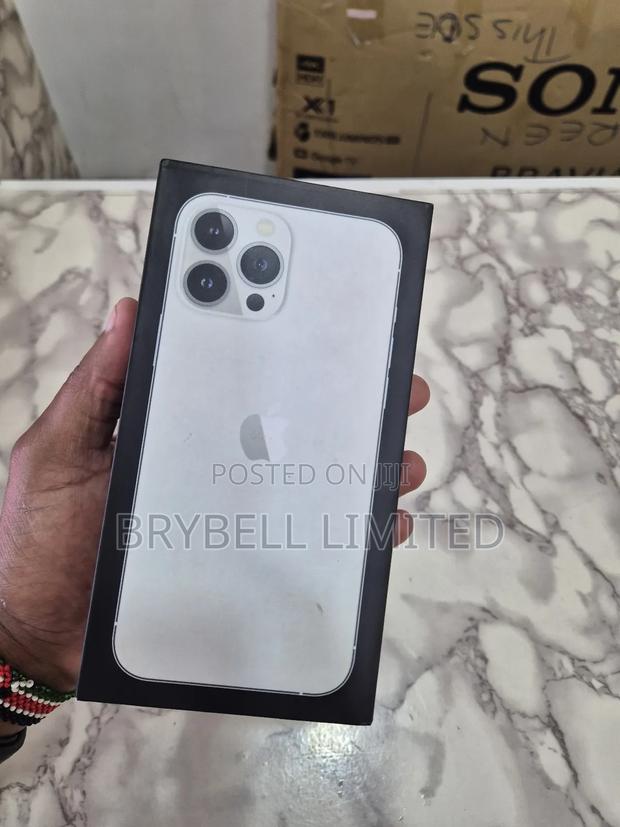 Apple iPhone 13 Pro Max 256 GB Silver - thumbnail 15