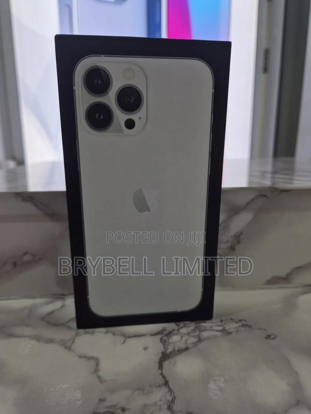 Apple iPhone 13 Pro Max 256 GB Silver - thumbnail 11