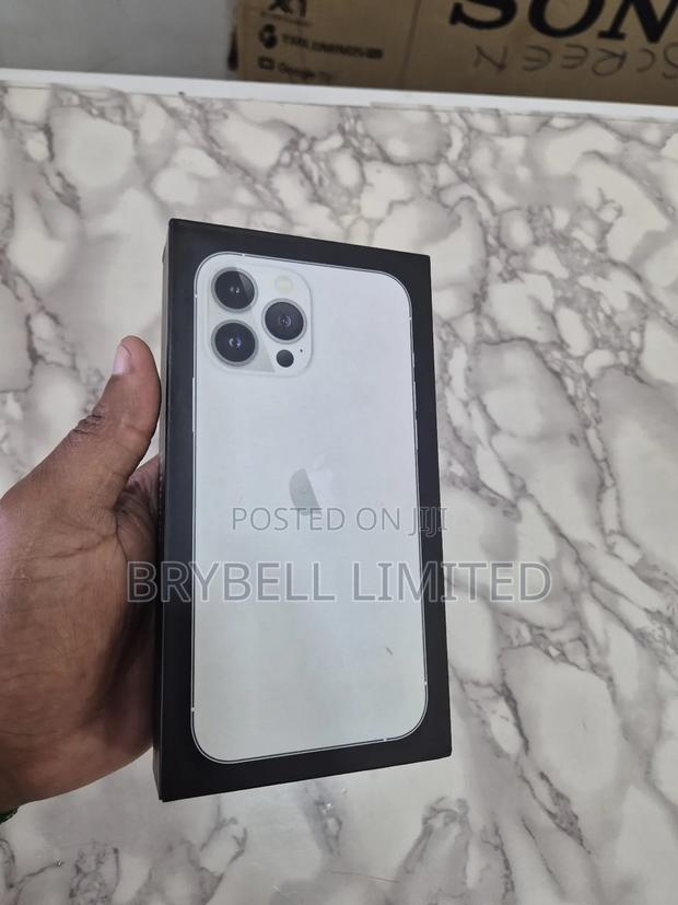 Apple iPhone 13 Pro Max 256 GB Silver - thumbnail 16