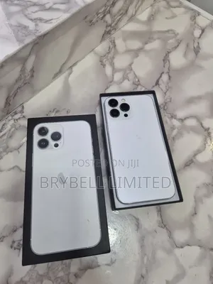 Apple iPhone 13 Pro Max 256 GB Silver