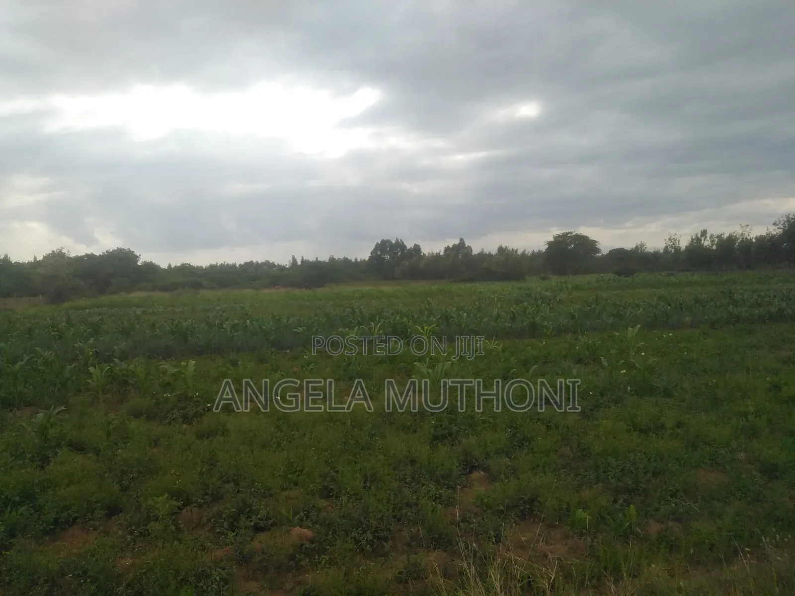 10 Acres of Land in Nanyuki Sweetwaters