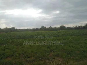 10 Acres of Land in Nanyuki Sweetwaters