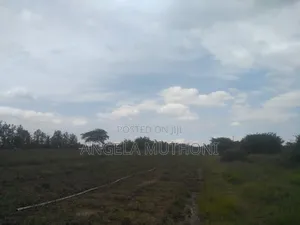 10 Acres of Land in Nanyuki Sweetwaters