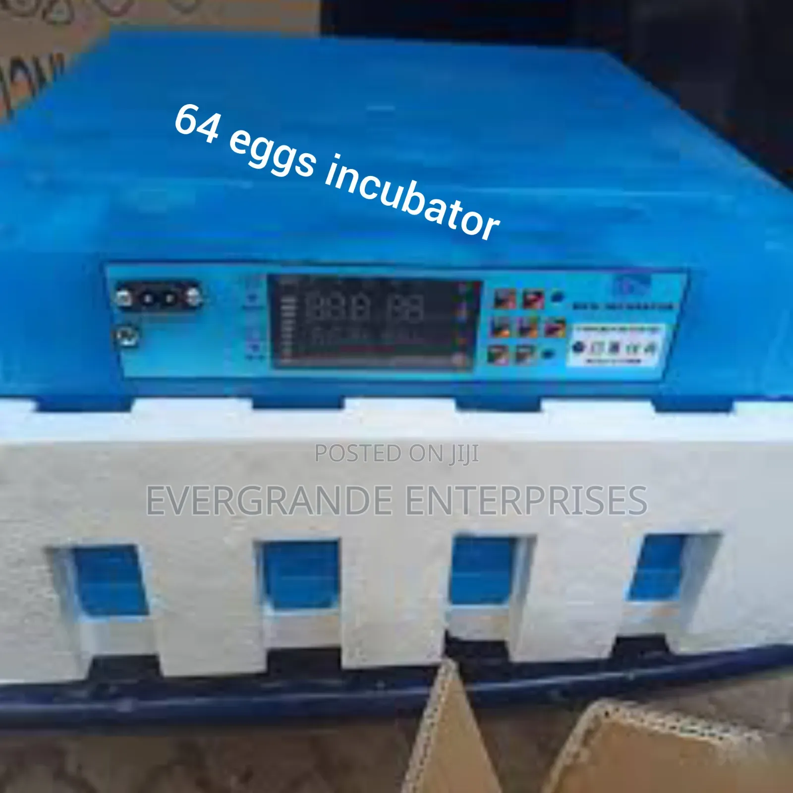 Automatic 64 Eggs Incubator Ac/Dc