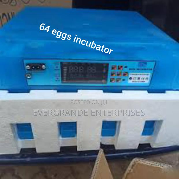 Automatic 64 Eggs Incubator Ac/Dc - main view