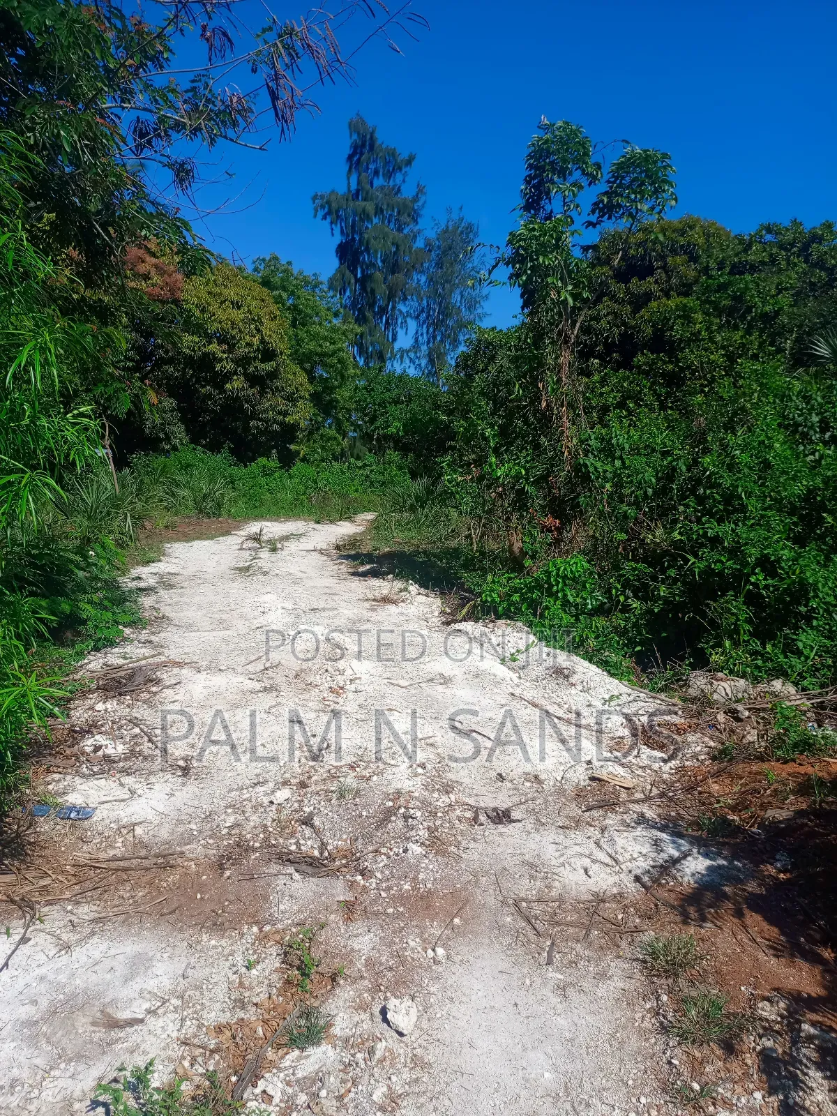 One Acre Near Mekaela Sec. School in Diani on Sale!!