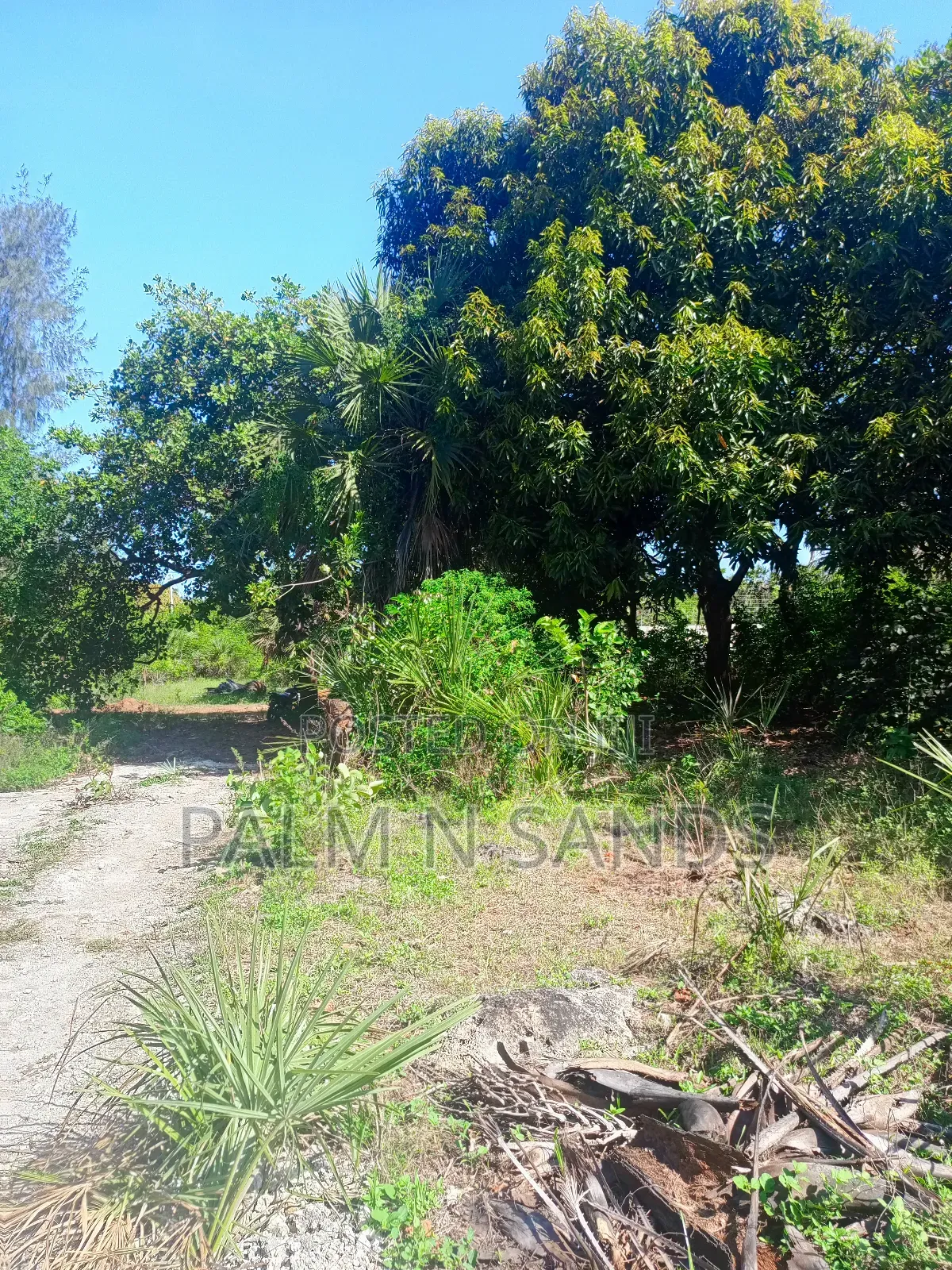 One Acre Near Mekaela Sec. School in Diani on Sale!!