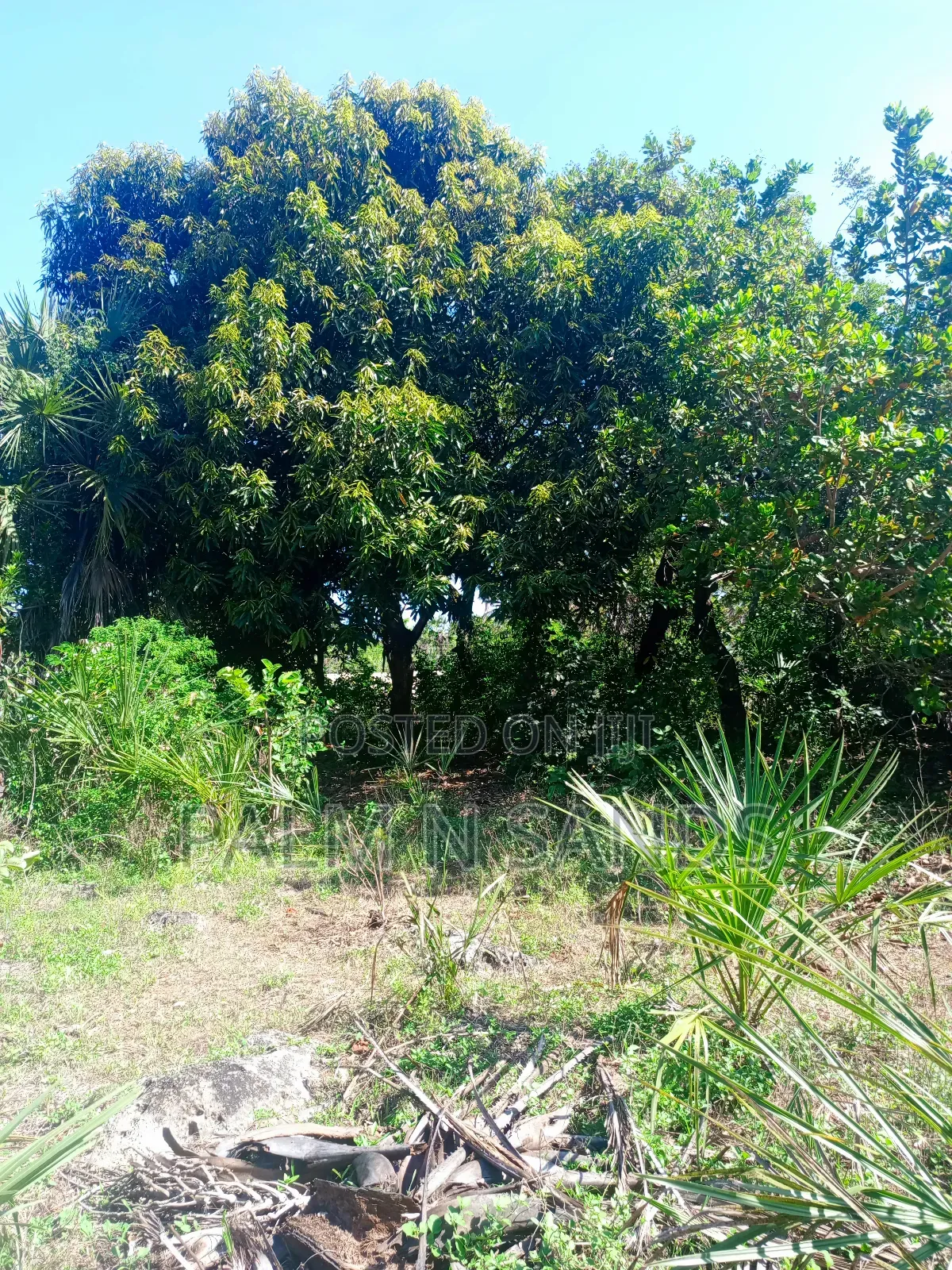 One Acre Near Mekaela Sec. School in Diani on Sale!!