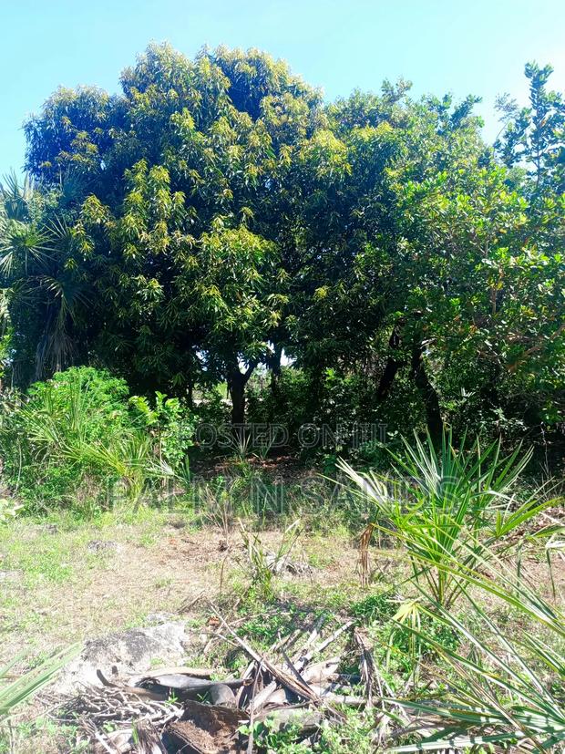 One Acre Near Mekaela Sec. School in Diani on Sale!! - thumbnail 6