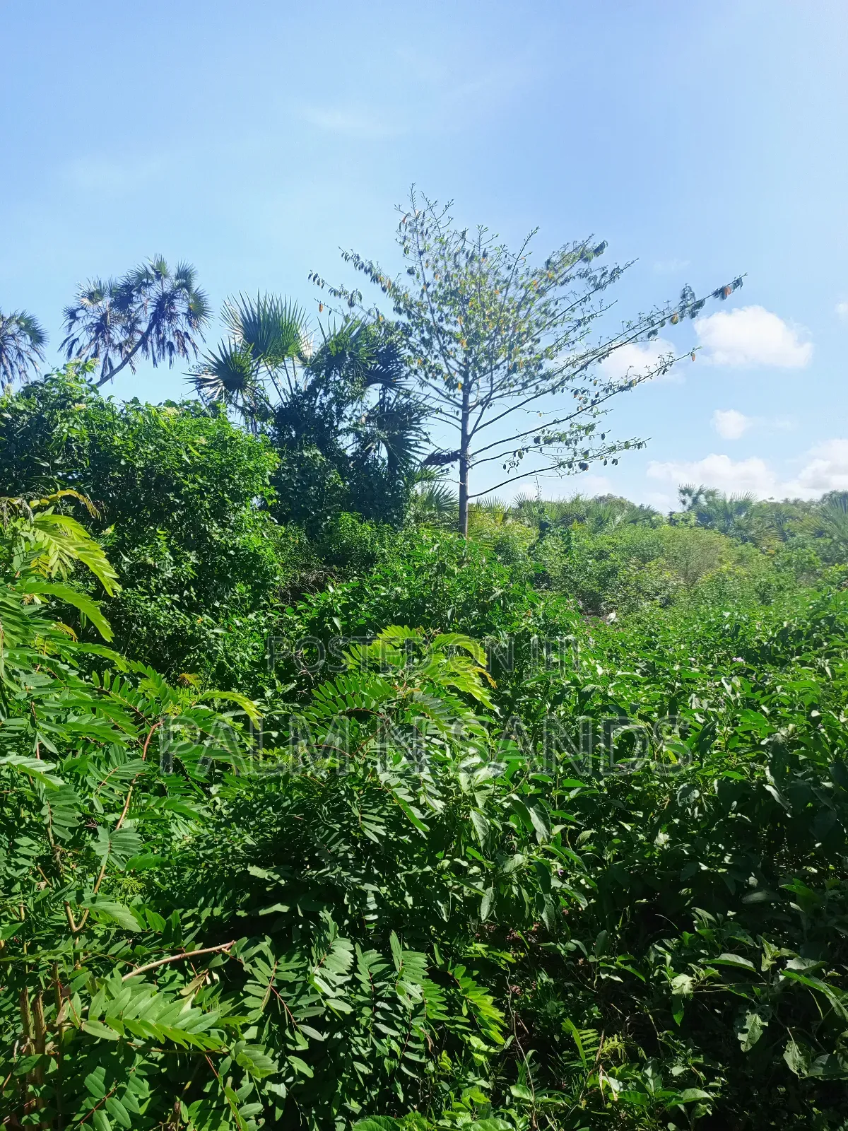 One Acre Near Mekaela Sec. School in Diani on Sale!!