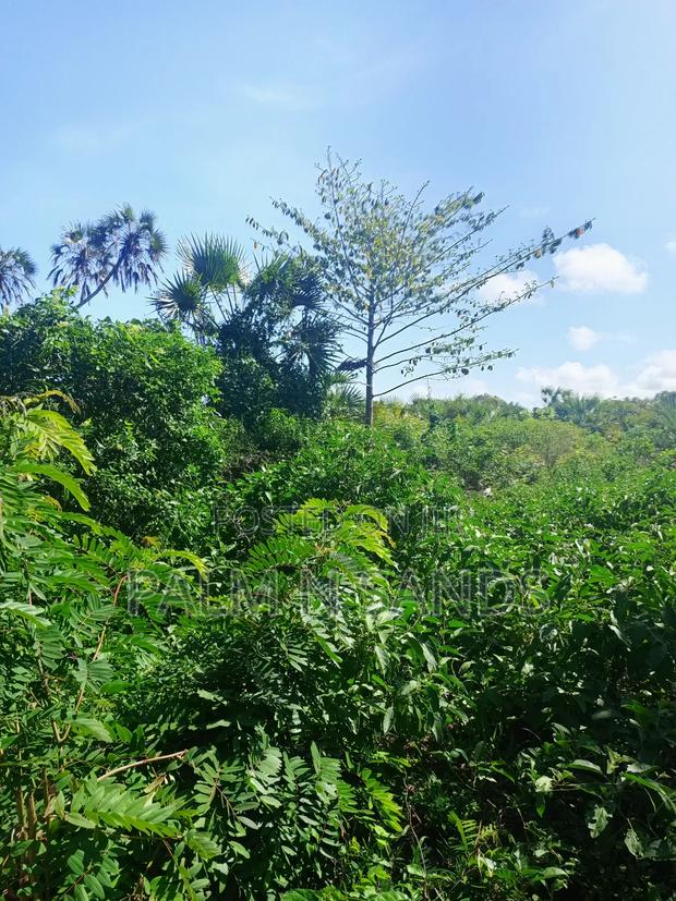 One Acre Near Mekaela Sec. School in Diani on Sale!! - thumbnail 7