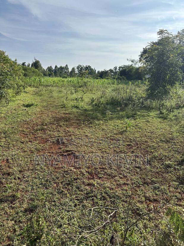 Behind Bar Opuk Center in Bondo - main view