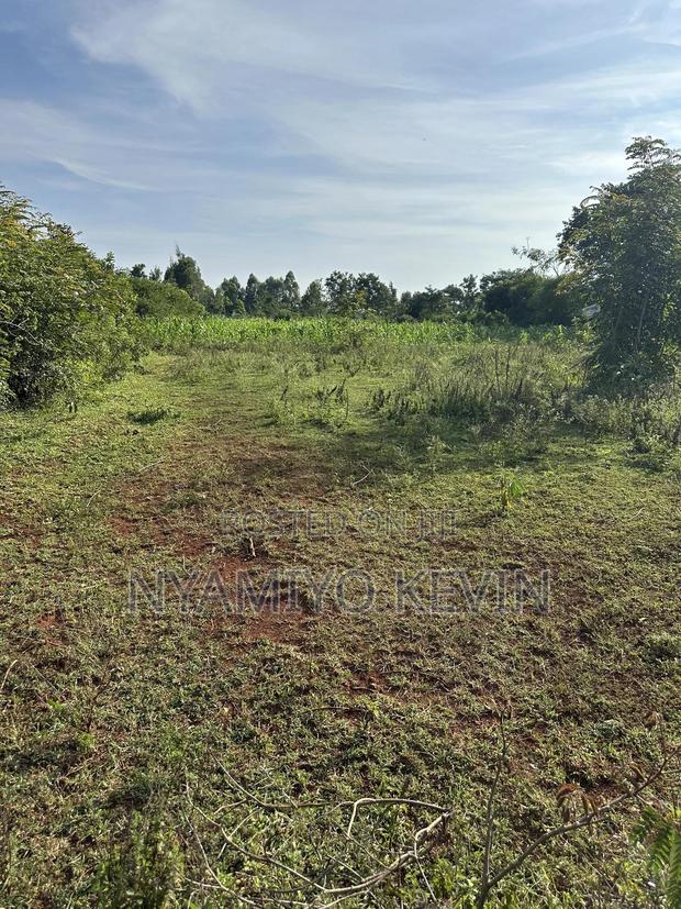 Behind Bar Opuk Center in Bondo - thumbnail 5