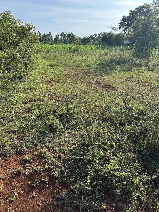 Behind Bar Opuk Center in Bondo - thumbnail 3