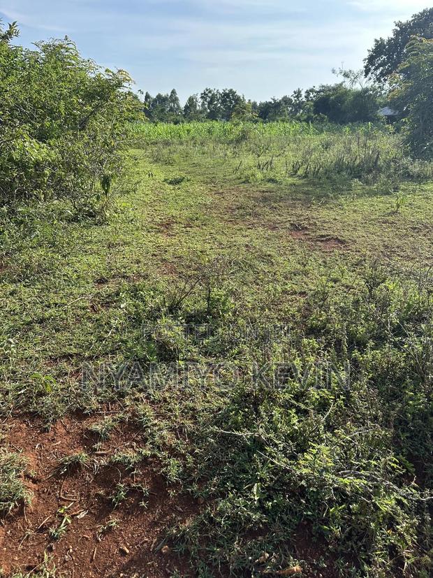 Behind Bar Opuk Center in Bondo - thumbnail 4