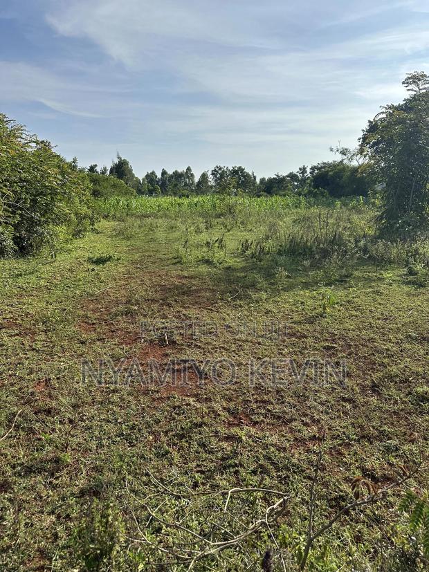 Behind Bar Opuk Center in Bondo - thumbnail 6