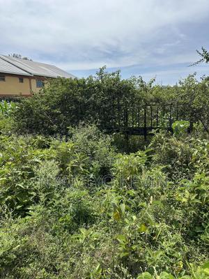 Opoda Road in Bondo - thumbnail 2