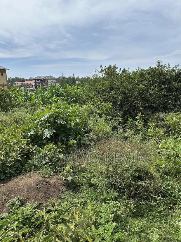 Opoda Road in Bondo - thumbnail 3