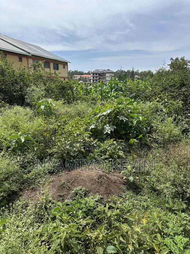 Opoda Road in Bondo - thumbnail 4