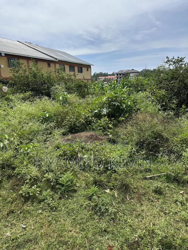 Opoda Road in Bondo - thumbnail 5