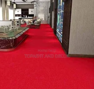Office and Home Wall to Wall Carpet Dust Free Texture