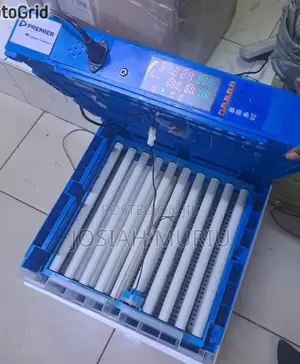 Automatic Eggs Incubator 128eggs Capacity