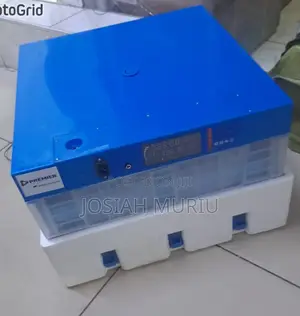 128eggs AC/Dc Fully Automatic Egg Incubator