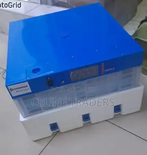128eggs AC/Dc Fully Automatic Egg Incubator
