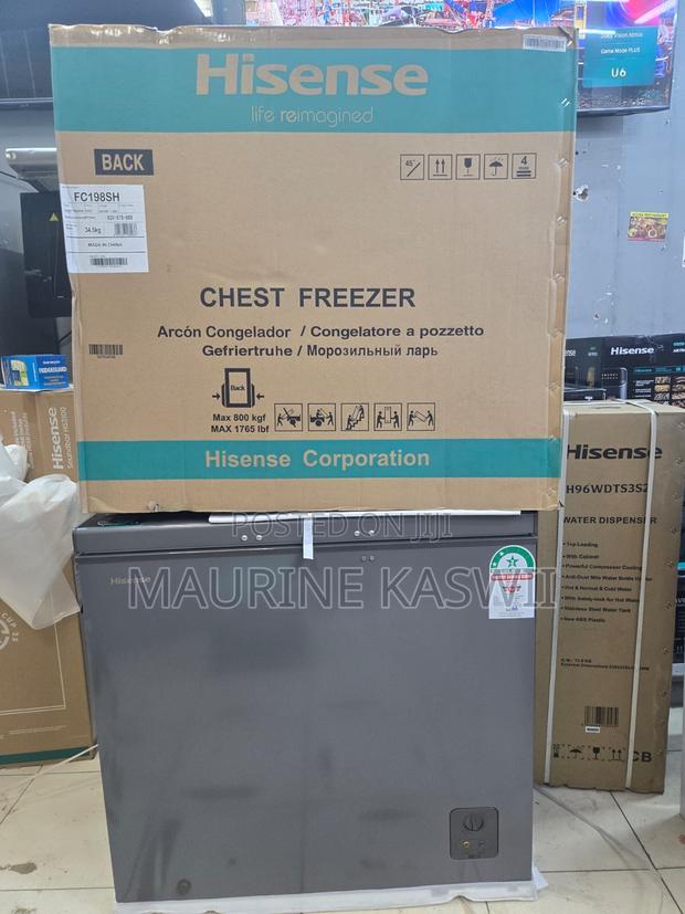 Hisense Deep Freezer 192l -2025 - thumbnail 2