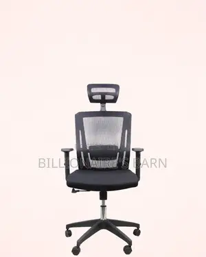 Ergonomic Mesh Office Chair | Nylon Base, Solid Support