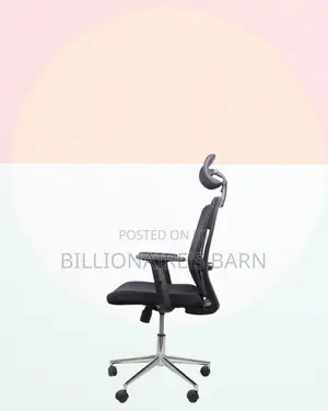 Premium Mesh Executive Seat | Comfort Meets Style