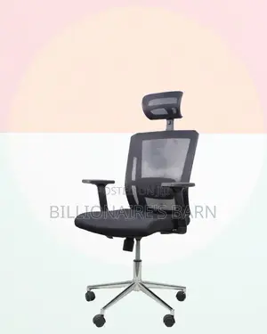 Premium Mesh Executive Seat | Comfort Meets Style