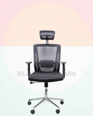 Premium Mesh Executive Seat | Comfort Meets Style