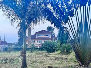 Land 1/2 Acre for Sale - thumbnail 2