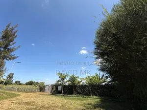 Land 1/2 Acre for Sale